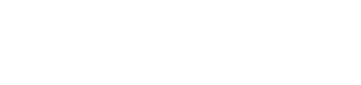 ZANYÉ natural stone jewelry and ritual objects logo